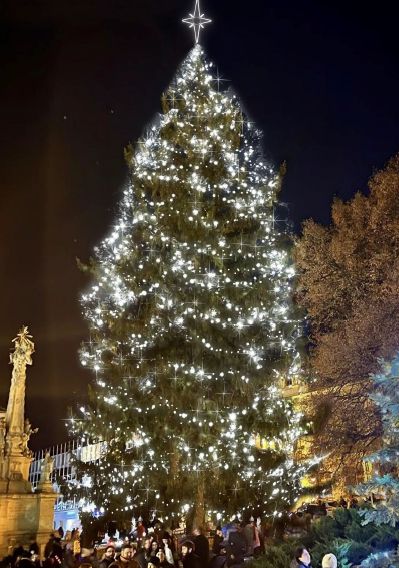 Vánoční strom na Dukelském náměstí získá nové osvětlení