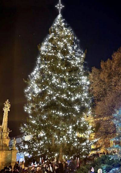 Vánoční strom na Dukelském náměstí získá nové osvětlení