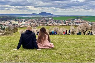 Jaro jsme stihli přivítat. Mandloňové květy odvál sníh.