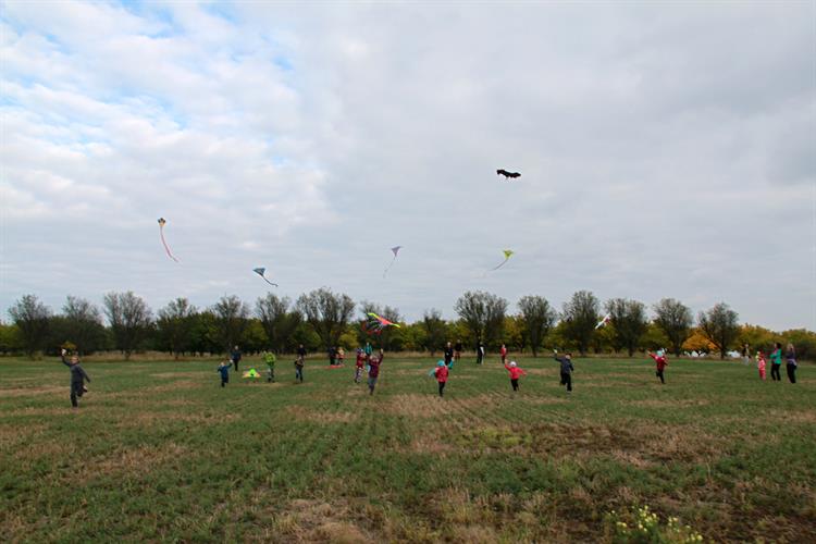 Draci nad mandloněmi